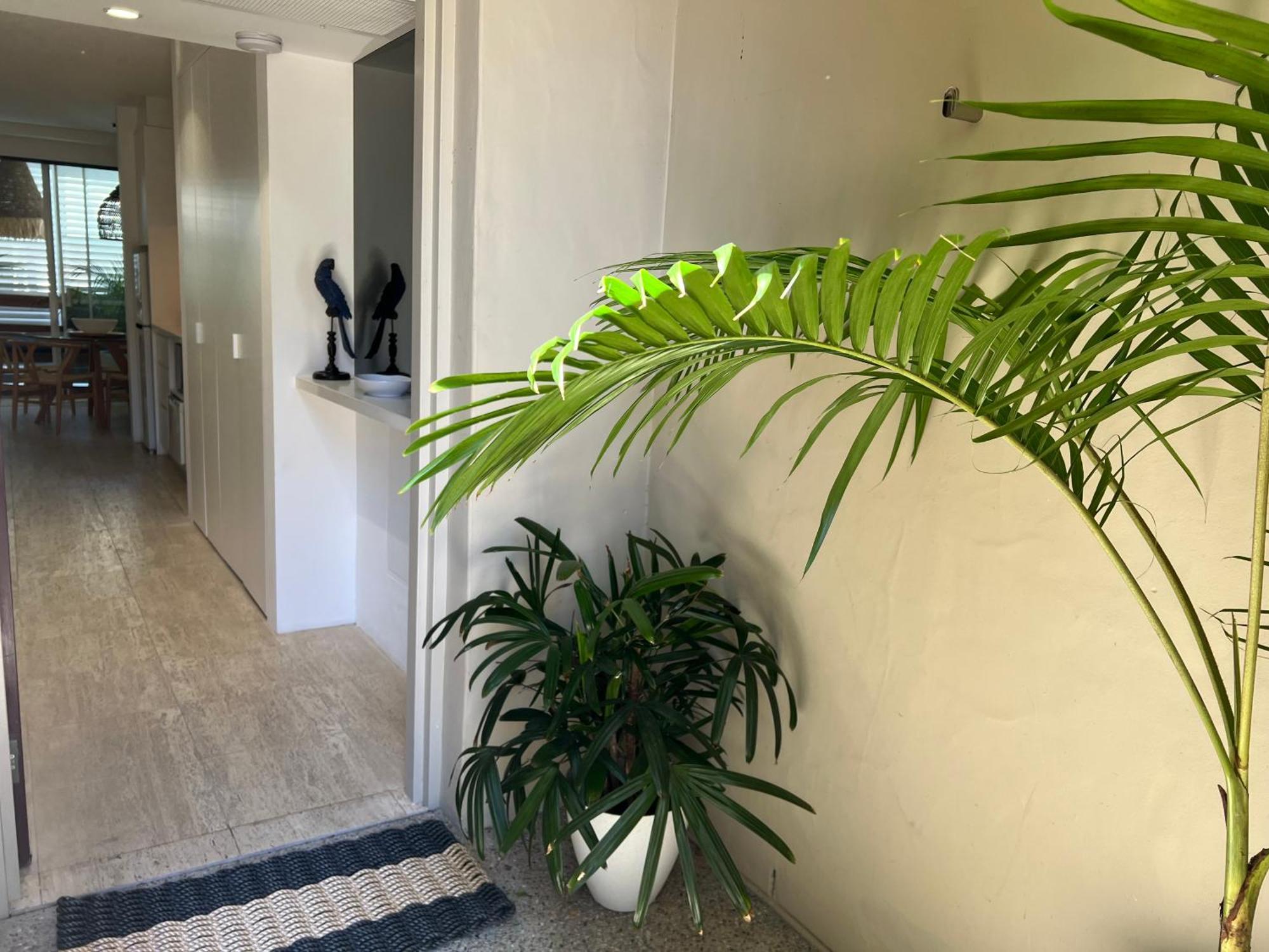 Carramah Noosa Heads Apartment エクステリア 写真